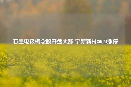 石墨电极概念股开盘大涨 宁新新材30CM涨停