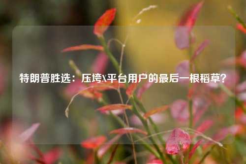 特朗普胜选：压垮X平台用户的最后一根稻草？