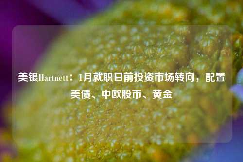 美银Hartnett：1月就职日前投资市场转向，配置美债、中欧股市、黄金