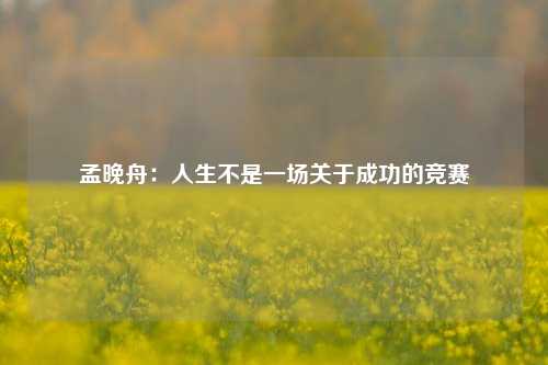 孟晚舟：人生不是一场关于成功的竞赛