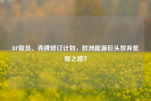 BP裁员、壳牌修订计划，欧洲能源巨头放弃低碳之路？