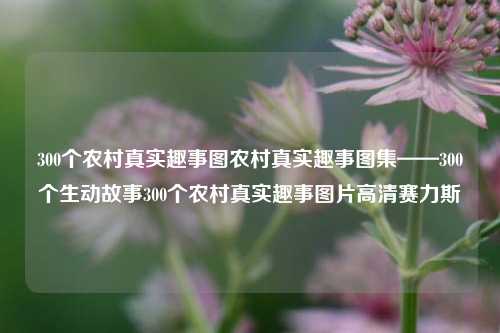 300个农村真实趣事图农村真实趣事图集——300个生动故事300个农村真实趣事图片高清赛力斯