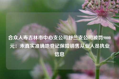 合众人寿吉林市中心支公司舒兰支公司被罚9000元：未真实准确地登记保险销售从业人员执业信息