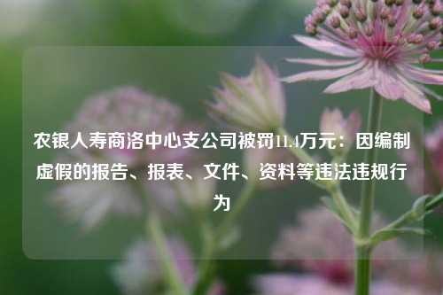 农银人寿商洛中心支公司被罚11.4万元：因编制虚假的报告、报表、文件、资料等违法违规行为