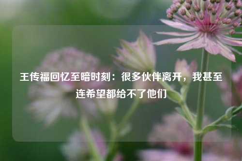 王传福回忆至暗时刻：很多伙伴离开，我甚至连希望都给不了他们