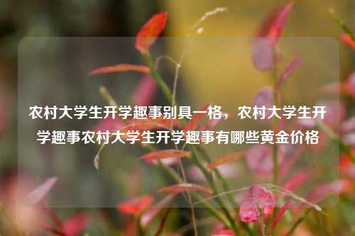 农村大学生开学趣事别具一格，农村大学生开学趣事农村大学生开学趣事有哪些黄金价格