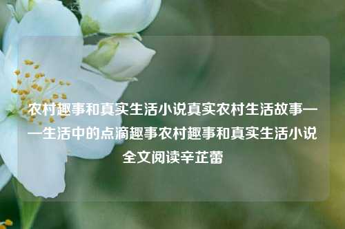 农村趣事和真实生活小说真实农村生活故事——生活中的点滴趣事农村趣事和真实生活小说全文阅读辛芷蕾