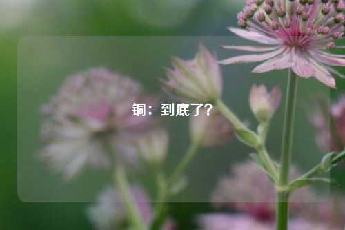 铜：到底了？