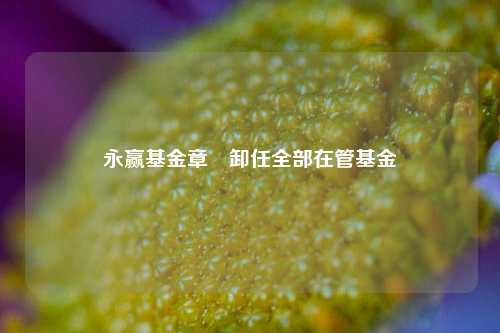 永赢基金章赟卸任全部在管基金