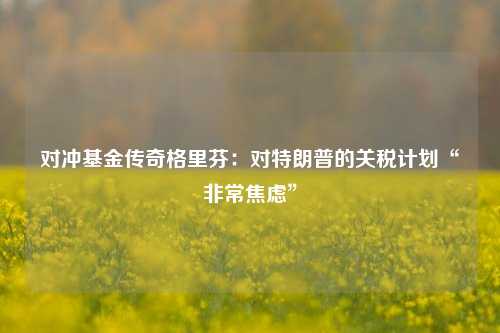 对冲基金传奇格里芬：对特朗普的关税计划“非常焦虑”