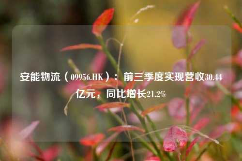 安能物流（09956.HK）：前三季度实现营收30.44亿元，同比增长21.2%