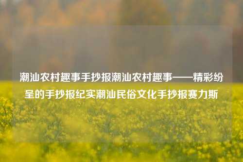 潮汕农村趣事手抄报潮汕农村趣事——精彩纷呈的手抄报纪实潮汕民俗文化手抄报赛力斯