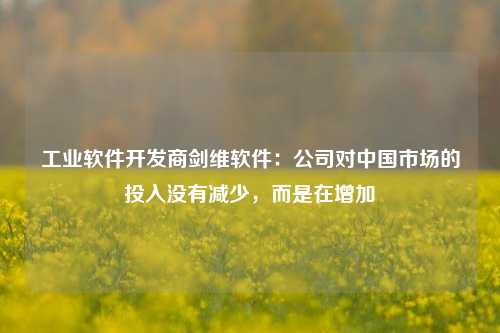 工业软件开发商剑维软件：公司对中国市场的投入没有减少，而是在增加