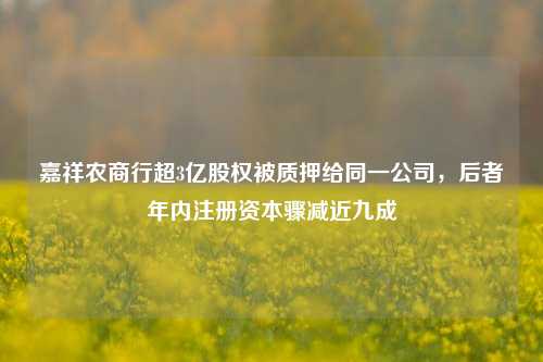 嘉祥农商行超3亿股权被质押给同一公司，后者年内注册资本骤减近九成