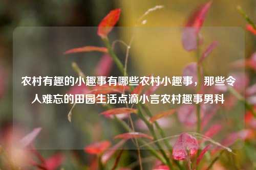 农村有趣的小趣事有哪些农村小趣事，那些令人难忘的田园生活点滴小言农村趣事男科