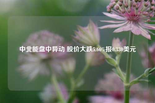 中北能盘中异动 股价大跌5.66%报0.330美元