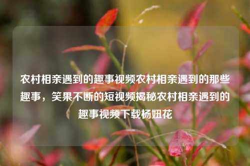 农村相亲遇到的趣事视频农村相亲遇到的那些趣事，笑果不断的短视频揭秘农村相亲遇到的趣事视频下载杨妞花