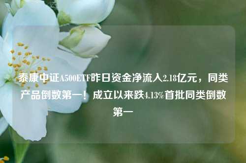 泰康中证A500ETF昨日资金净流入2.18亿元，同类产品倒数第一！成立以来跌4.13%首批同类倒数第一