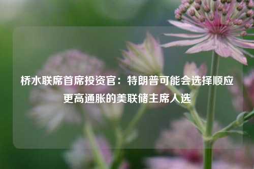 桥水联席首席投资官：特朗普可能会选择顺应更高通胀的美联储主席人选