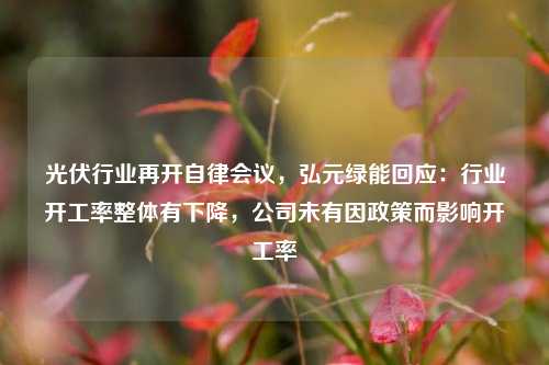 光伏行业再开自律会议，弘元绿能回应：行业开工率整体有下降，公司未有因政策而影响开工率