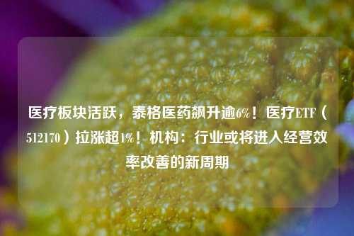 医疗板块活跃，泰格医药飙升逾6%！医疗ETF（512170）拉涨超1%！机构：行业或将进入经营效率改善的新周期