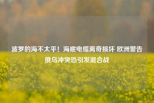 波罗的海不太平！海底电缆离奇损坏 欧洲警告俄乌冲突恐引发混合战