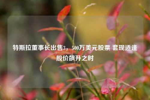 特斯拉董事长出售3，500万美元股票 套现适逢股价飙升之时