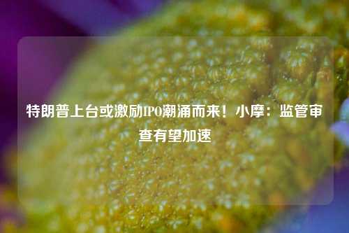 特朗普上台或激励IPO潮涌而来！小摩：监管审查有望加速