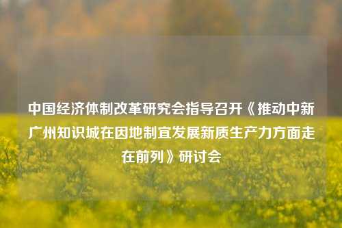 中国经济体制改革研究会指导召开《推动中新广州知识城在因地制宜发展新质生产力方面走在前列》研讨会