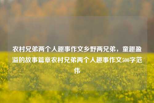 农村兄弟两个人趣事作文乡野两兄弟，童趣盈溢的故事篇章农村兄弟两个人趣事作文500字范伟