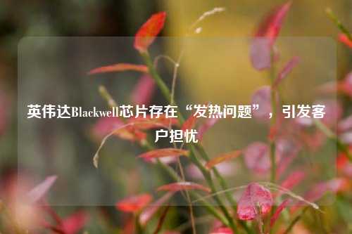 英伟达Blackwell芯片存在“发热问题”，引发客户担忧