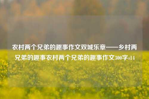 农村两个兄弟的趣事作文双城乐章——乡村两兄弟的趣事农村两个兄弟的趣事作文300字s14