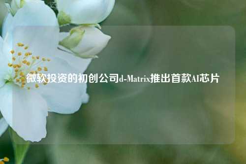 微软投资的初创公司d-Matrix推出首款AI芯片