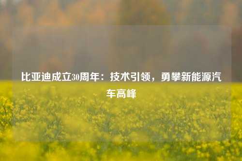 比亚迪成立30周年：技术引领，勇攀新能源汽车高峰