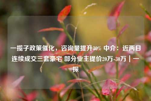 一揽子政策催化，咨询量提升30% 中介：近两日连续成交三套豪宅 部分业主提价20万-30万｜一探