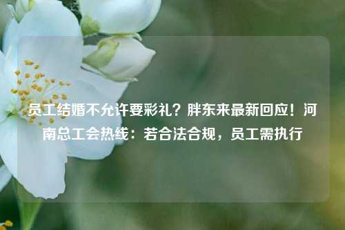 员工结婚不允许要彩礼？胖东来最新回应！河南总工会热线：若合法合规，员工需执行