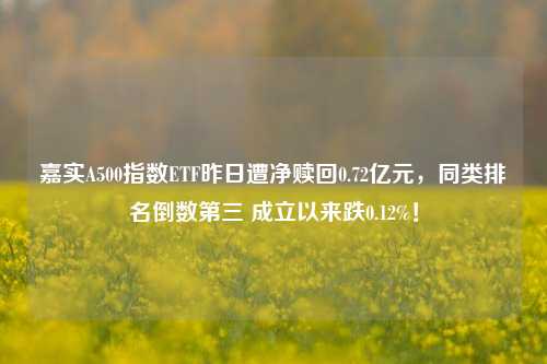 嘉实A500指数ETF昨日遭净赎回0.72亿元，同类排名倒数第三 成立以来跌0.12%！