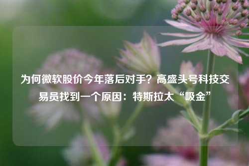 为何微软股价今年落后对手？高盛头号科技交易员找到一个原因：特斯拉太“吸金”