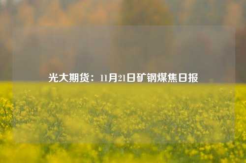 光大期货：11月21日矿钢煤焦日报