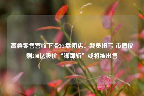 高鑫零售营收下滑3%靠闭店、裁员扭亏 市值仅剩200亿股价“脚踝斩”或将被出售