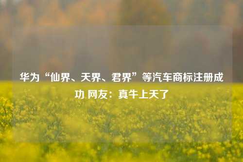 华为“仙界、天界、君界”等汽车商标注册成功 网友：真牛上天了