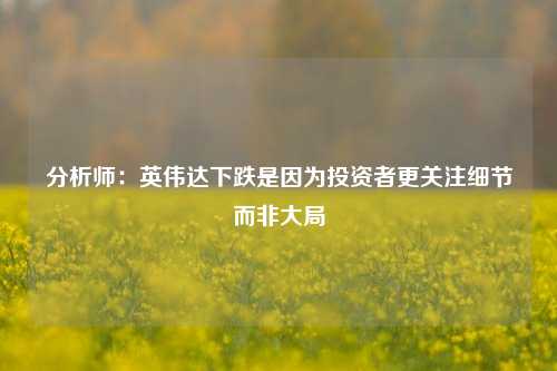 分析师：英伟达下跌是因为投资者更关注细节而非大局