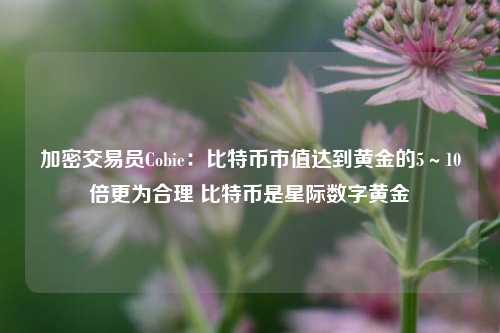 加密交易员Cobie：比特币市值达到黄金的5～10倍更为合理 比特币是星际数字黄金