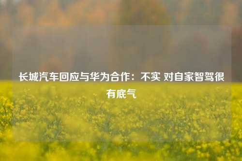 长城汽车回应与华为合作：不实 对自家智驾很有底气