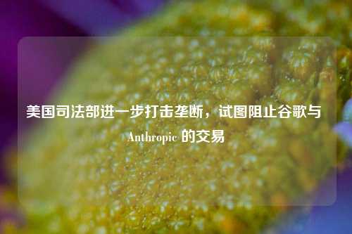 美国司法部进一步打击垄断，试图阻止谷歌与 Anthropic 的交易