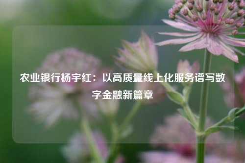 农业银行杨宇红：以高质量线上化服务谱写数字金融新篇章