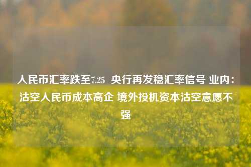 人民币汇率跌至7.25  央行再发稳汇率信号 业内：沽空人民币成本高企 境外投机资本沽空意愿不强