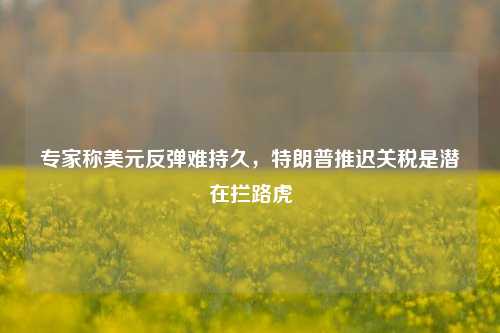 专家称美元反弹难持久，特朗普推迟关税是潜在拦路虎