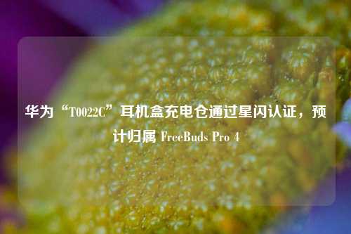 华为“T0022C”耳机盒充电仓通过星闪认证，预计归属 FreeBuds Pro 4