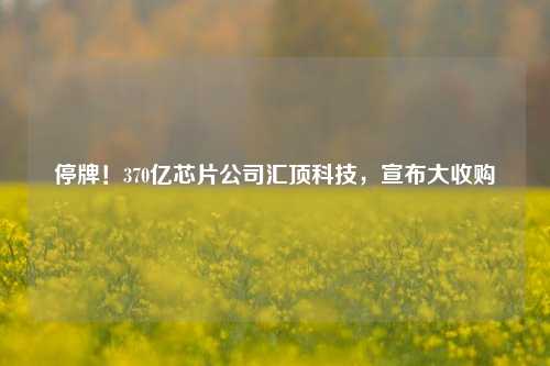 停牌！370亿芯片公司汇顶科技，宣布大收购